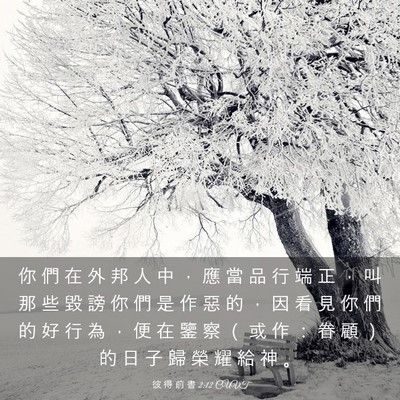 Picture 03 - 彼 得 前 書 2:12 CUVT - 你 們 在 外 邦 人 中 ， 應 當 品 行 - Bible Verse Picture