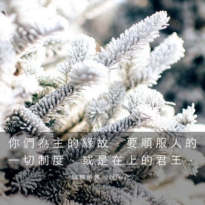 Picture 03 - 彼 得 前 書 2:13 CUVT - 你 們 為 主 的 緣 故 ， 要 順 服 人 - Bible Verse Picture