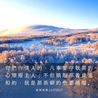 Picture 03 - 彼 得 前 書 2:18 CUVT - 你 們 作 僕 人 的 ， 凡 事 要 存 敬 - Bible Verse Picture