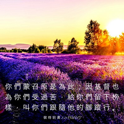 Picture 03 - 彼 得 前 書 2:21 CUVT - 你 們 蒙 召 原 是 為 此 ； 因 基 督 - Bible Verse Picture