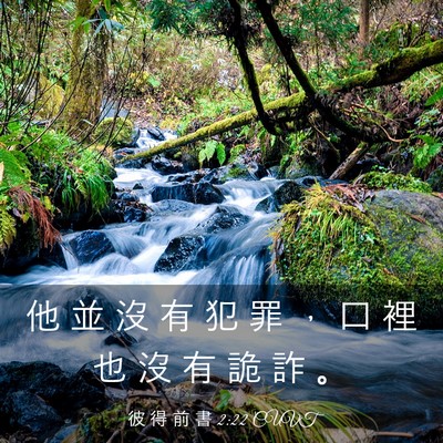 Picture 03 - 彼 得 前 書 2:22 CUVT - 他 並 沒 有 犯 罪 ， 口 裡 也 沒 有 - Bible Verse Picture