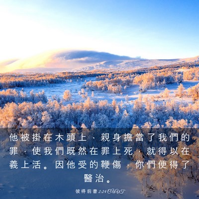Picture 03 - 彼 得 前 書 2:24 CUVT - 他 被 掛 在 木 頭 上 ， 親 身 擔 當 - Bible Verse Picture