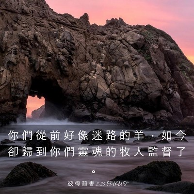 Picture 03 - 彼 得 前 書 2:25 CUVT - 你 們 從 前 好 像 迷 路 的 羊 ， 如 - Bible Verse Picture