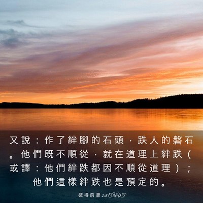 Picture 03 - 彼 得 前 書 2:8 CUVT - 又 說 ： 作 了 絆 腳 的 石 頭 ， 跌 - Bible Verse Picture