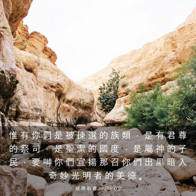 Picture 03 - 彼 得 前 書 2:9 CUVT - 惟 有 你 們 是 被 揀 選 的 族 類 ， - Bible Verse Picture