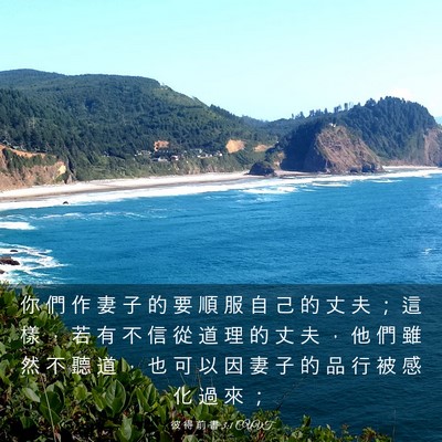 Picture 03 - 彼 得 前 書 3:1 CUVT - 你 們 作 妻 子 的 要 順 服 自 己 的 - Bible Verse Picture