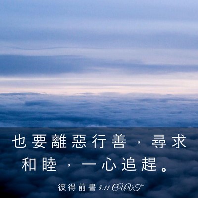 Picture 03 - 彼 得 前 書 3:11 CUVT - 也 要 離 惡 行 善 ， 尋 求 和 睦 ， - Bible Verse Picture