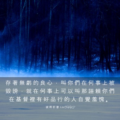 Picture 03 - 彼 得 前 書 3:16 CUVT - 存 著 無 虧 的 良 心 ， 叫 你 們 在 - Bible Verse Picture