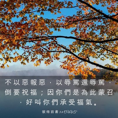 Picture 03 - 彼 得 前 書 3:9 CUVT - 不 以 惡 報 惡 ， 以 辱 罵 還 辱 罵 - Bible Verse Picture
