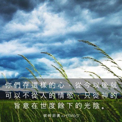 Picture 03 - 彼 得 前 書 4:2 CUVT - 你 們 存 這 樣 的 心 ， 從 今 以 後 - Bible Verse Picture
