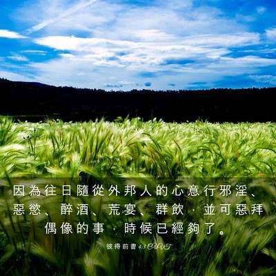 Picture 03 - 彼 得 前 書 4:3 CUVT - 因 為 往 日 隨 從 外 邦 人 的 心 意 - Bible Verse Picture