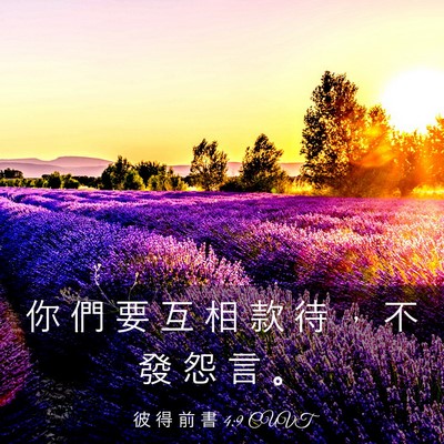 Picture 03 - 彼 得 前 書 4:9 CUVT - 你 們 要 互 相 款 待 ， 不 發 怨 言 - Bible Verse Picture