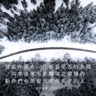 Picture 03 - 彼 得 前 書 5:1 CUVT - 我 這 作 長 老 、 作 基 督 受 苦 的 - Bible Verse Picture