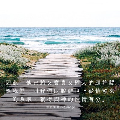 Picture 03 - 彼 得 後 書 1:4 CUVT - 因 此 ， 他 已 將 又 寶 貴 又 極 大 - Bible Verse Picture