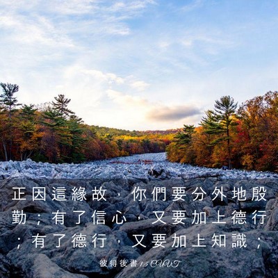 Picture 03 - 彼 得 後 書 1:5 CUVT - 正 因 這 緣 故 ， 你 們 要 分 外 地 - Bible Verse Picture