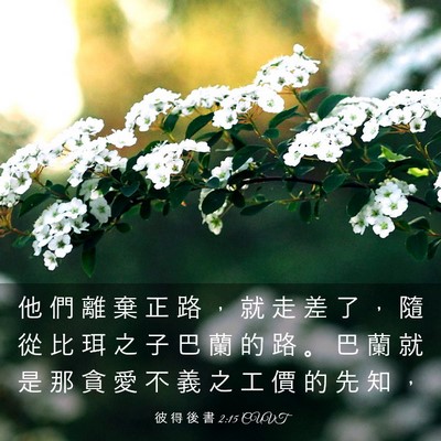 Picture 03 - 彼 得 後 書 2:15 CUVT - 他 們 離 棄 正 路 ， 就 走 差 了 ， - Bible Verse Picture