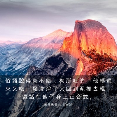 Picture 03 - 彼 得 後 書 2:22 CUVT - 俗 語 說 得 真 不 錯 ： 狗 所 吐 的 - Bible Verse Picture