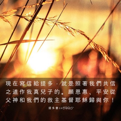 Picture 03 - 提 多 書 1:4 CUVT - 現 在 寫 信 給 提 多 ， 就 是 照 著 - Bible Verse Picture