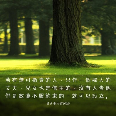 Picture 03 - 提 多 書 1:6 CUVT - 若 有 無 可 指 責 的 人 ， 只 作 一 - Bible Verse Picture