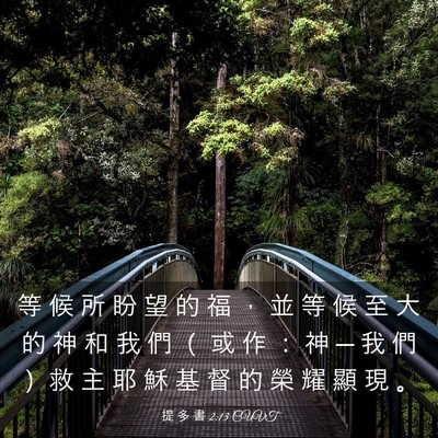 Picture 03 - 提 多 書 2:13 CUVT - 等 候 所 盼 望 的 福 ， 並 等 候 至 - Bible Verse Picture