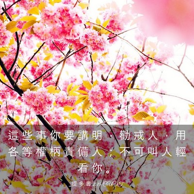 Picture 03 - 提 多 書 2:15 CUVT - 這 些 事 你 要 講 明 ， 勸 戒 人 ， - Bible Verse Picture