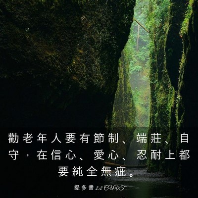 Picture 03 - 提 多 書 2:2 CUVT - 勸 老 年 人 要 有 節 制 、 端 莊 、 - Bible Verse Picture