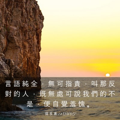 Picture 03 - 提 多 書 2:8 CUVT - 言 語 純 全 ， 無 可 指 責 ， 叫 那 - Bible Verse Picture
