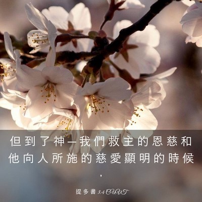 Picture 03 - 提 多 書 3:4 CUVT - 但 到 了 神 ─ 我 們 救 主 的 恩 慈 - Bible Verse Picture