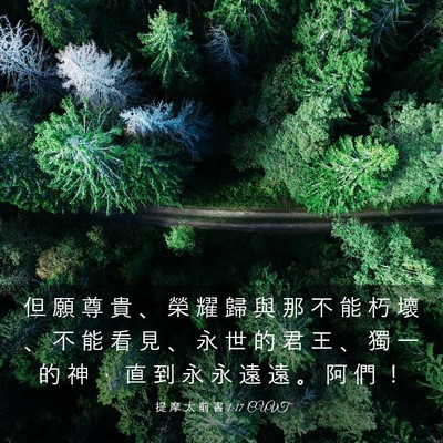 Picture 03 - 提 摩 太 前 書 1:17 CUVT - 但 願 尊 貴 、 榮 耀 歸 與 那 不 能 - Bible Verse Picture
