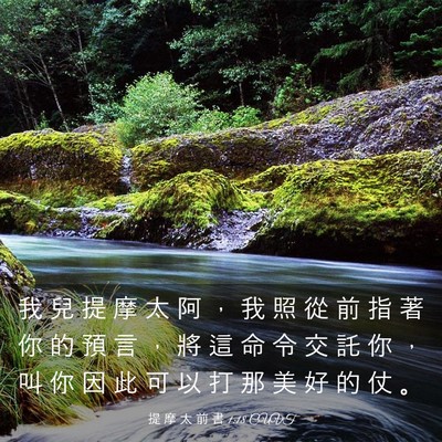 Picture 03 - 提 摩 太 前 書 1:18 CUVT - 我 兒 提 摩 太 阿 ， 我 照 從 前 指 - Bible Verse Picture