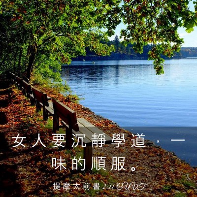 Picture 03 - 提 摩 太 前 書 2:11 CUVT - 女 人 要 沉 靜 學 道 ， 一 味 的 順 - Bible Verse Picture