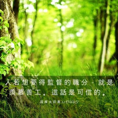 Picture 03 - 提 摩 太 前 書 3:1 CUVT - 人 若 想 要 得 監 督 的 職 分 ， 就 - Bible Verse Picture