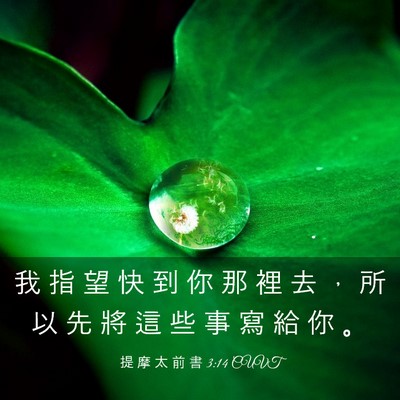 Picture 03 - 提 摩 太 前 書 3:14 CUVT - 我 指 望 快 到 你 那 裡 去 ， 所 以 - Bible Verse Picture
