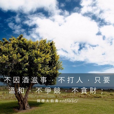 Picture 03 - 提 摩 太 前 書 3:3 CUVT - 不 因 酒 滋 事 ， 不 打 人 ， 只 要 - Bible Verse Picture