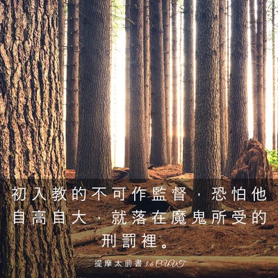 Picture 03 - 提 摩 太 前 書 3:6 CUVT - 初 入 教 的 不 可 作 監 督 ， 恐 怕 - Bible Verse Picture