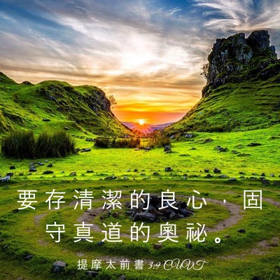 Picture 03 - 提 摩 太 前 書 3:9 CUVT - 要 存 清 潔 的 良 心 ， 固 守 真 道 - Bible Verse Picture