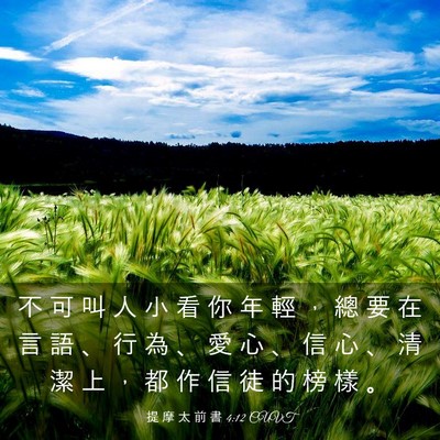 Picture 03 - 提 摩 太 前 書 4:12 CUVT - 不 可 叫 人 小 看 你 年 輕 ， 總 要 - Bible Verse Picture