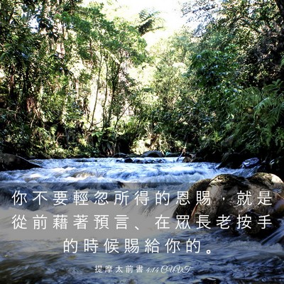 Picture 03 - 提 摩 太 前 書 4:14 CUVT - 你 不 要 輕 忽 所 得 的 恩 賜 ， 就 - Bible Verse Picture
