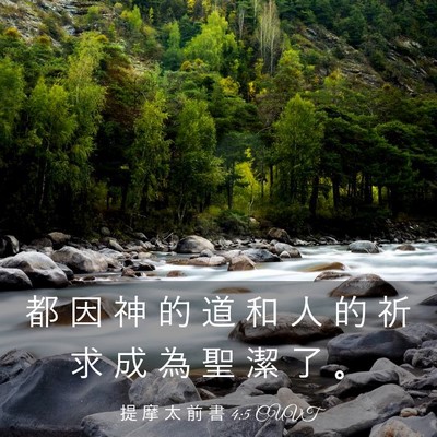 Picture 03 - 提 摩 太 前 書 4:5 CUVT - 都 因 神 的 道 和 人 的 祈 求 成 為 - Bible Verse Picture