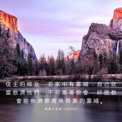 Picture 03 - 提 摩 太 前 書 5:16 CUVT - 信 主 的 婦 女 ， 若 家 中 有 寡 婦 - Bible Verse Picture