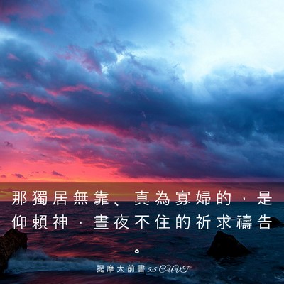 Picture 03 - 提 摩 太 前 書 5:5 CUVT - 那 獨 居 無 靠 、 真 為 寡 婦 的 ， - Bible Verse Picture