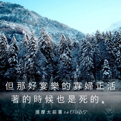 Picture 03 - 提 摩 太 前 書 5:6 CUVT - 但 那 好 宴 樂 的 寡 婦 正 活 著 的 - Bible Verse Picture