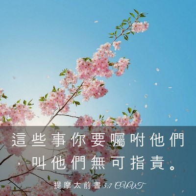 Picture 03 - 提 摩 太 前 書 5:7 CUVT - 這 些 事 你 要 囑 咐 他 們 ， 叫 他 - Bible Verse Picture