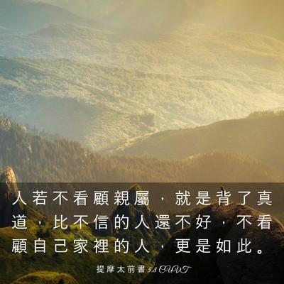Picture 03 - 提 摩 太 前 書 5:8 CUVT - 人 若 不 看 顧 親 屬 ， 就 是 背 了 - Bible Verse Picture