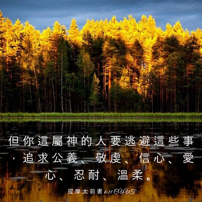 Picture 03 - 提 摩 太 前 書 6:11 CUVT - 但 你 這 屬 神 的 人 要 逃 避 這 些 - Bible Verse Picture