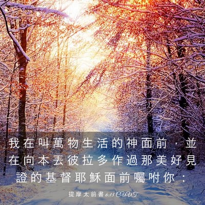 Picture 03 - 提 摩 太 前 書 6:13 CUVT - 我 在 叫 萬 物 生 活 的 神 面 前 ， - Bible Verse Picture
