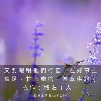 Picture 03 - 提 摩 太 前 書 6:18 CUVT - 又 要 囑 咐 他 們 行 善 ， 在 好 事 - Bible Verse Picture