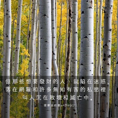 Picture 03 - 提 摩 太 前 書 6:9 CUVT - 但 那 些 想 要 發 財 的 人 ， 就 陷 - Bible Verse Picture
