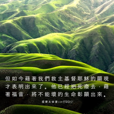 Picture 03 - 提 摩 太 後 書 1:10 CUVT - 但 如 今 藉 著 我 們 救 主 基 督 耶 - Bible Verse Picture