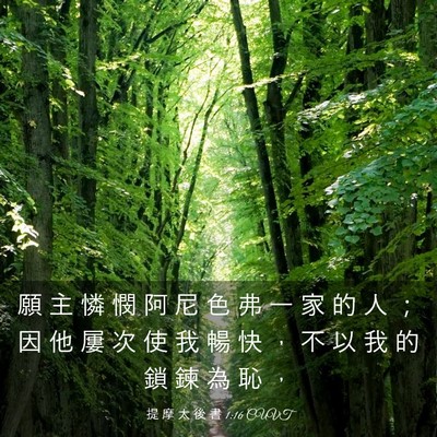 Picture 03 - 提 摩 太 後 書 1:16 CUVT - 願 主 憐 憫 阿 尼 色 弗 一 家 的 人 - Bible Verse Picture